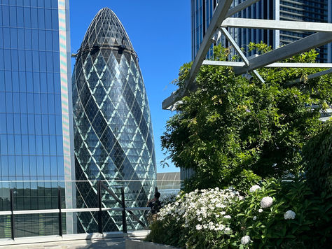 תצפית הגן ב120 לונדון - The Garden at 120