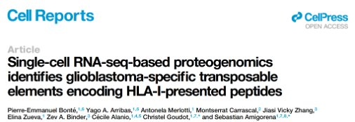 CELL REPORTS - Single-cell RNA-seq-based proteogenomics identifies glioblastoma-specific transposable elements enconding HLA-I-presented peptides