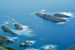 CABO VIDEO LARGA EXP