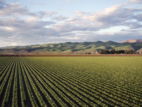 Bahia abriga o maior polo de produção agrícola irrigada do Brasil;