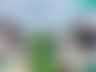 União Europeia apoia proposta do Brasil para integrar mercados de carbono globais