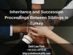 Sharing Inherited Properties, Probate and Succession Proceedings Between Siblings in Turkey 2023
