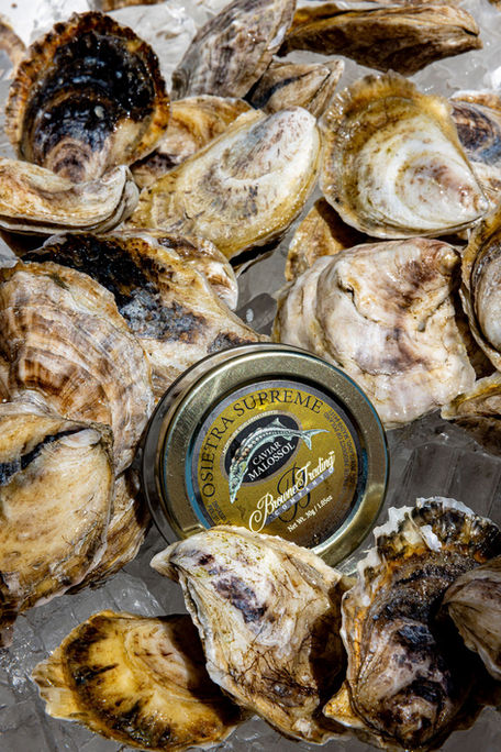 Golden Imperial Caviar tin with fresh oysters on ice