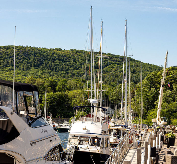 Yachts and sailboats docked at a marina with green hills