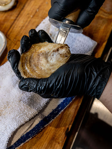 Hands in black gloves shucking an oyster.