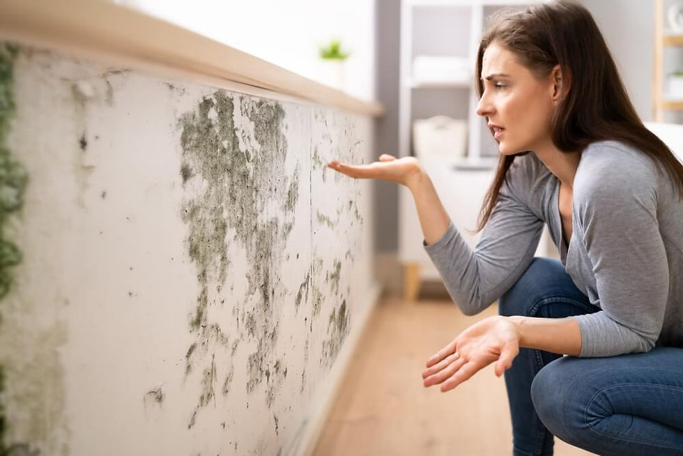 Dégel et infiltration d'eau : pourquoi ?