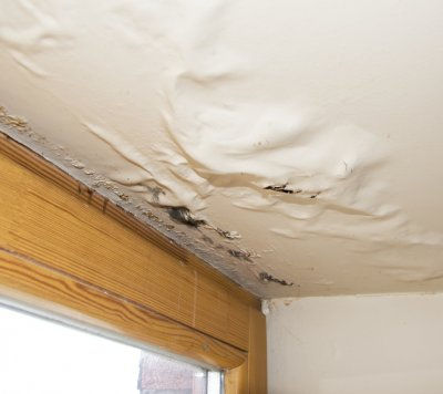 Plafond jauni et gondolé au-dessus d’une fenêtre, avec peinture écaillée et traces d’humidité sur le mur.