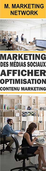 Banner VendVit MARKETING - FRANCES.jpg