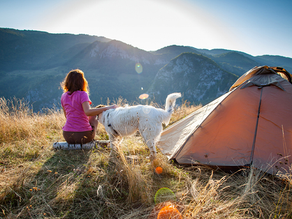 Powering down for a relaxing holiday