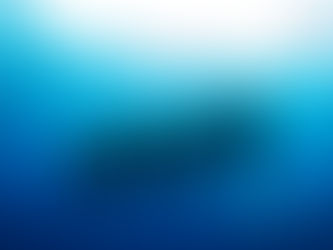 年末年始は小笠原に