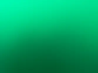 2026.5.11 トレーニングDIVE
