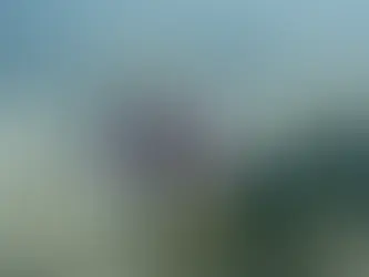 カメラ撮影会