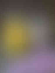Rosensirup