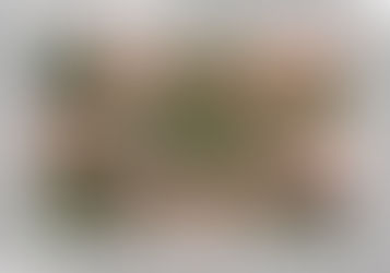 ¿UN SOCIO O UN ENEMIGO?