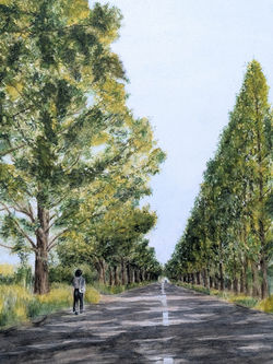 metasequoiaavenue