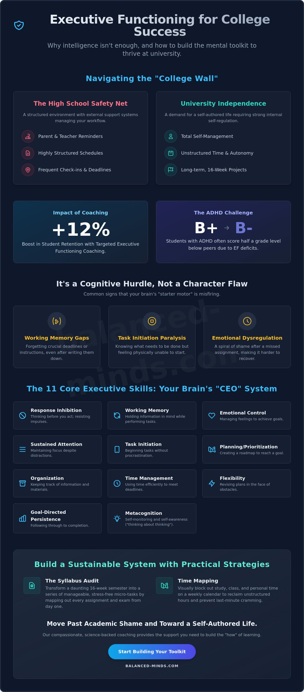Executive functioning coaching for college students tampa