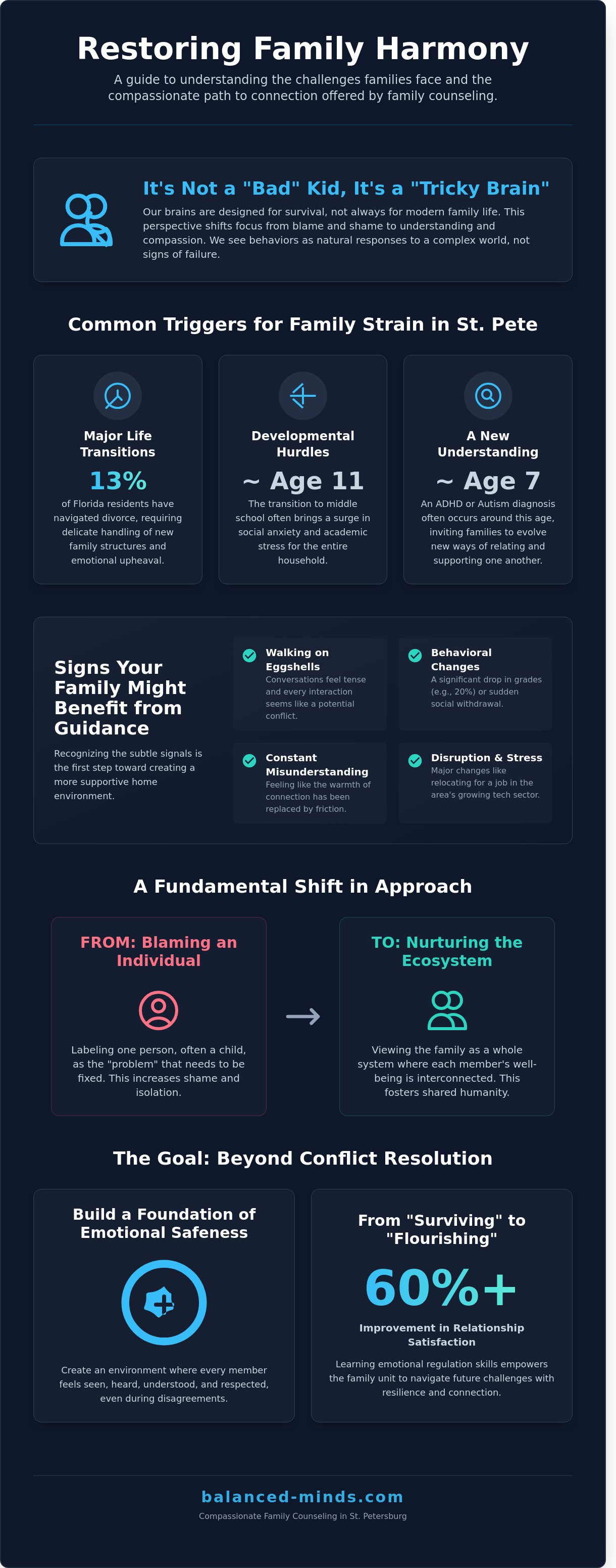 Family counseling st petersburg infographic - visual guide