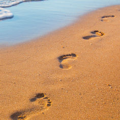 Basic Outline of WUN Terms, Structure & Protocols