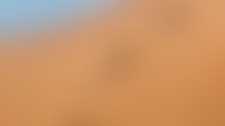 Basic Outline of WUN Terms, Structure & Protocols