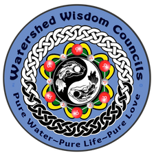PREAMBLE: Why Watershed Wisdom Councils?