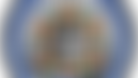 PREAMBLE: Why Watershed Wisdom Councils?