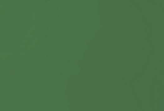 Green Background_edited_edited_edited_edited_edited.png