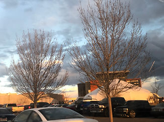 6652D1E6-C038-499A-9C5A-307EC76C1564.jpe