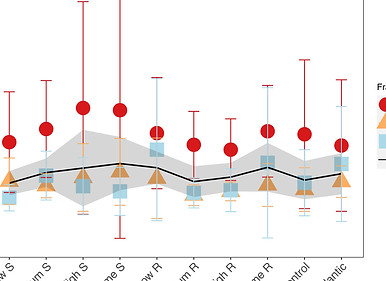Paper Joaquín 2.jpg