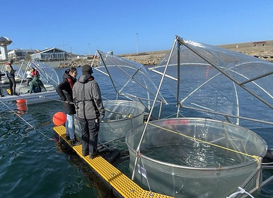 WhatsApp Image 2023-03-24 at 20.08_edited.jpg