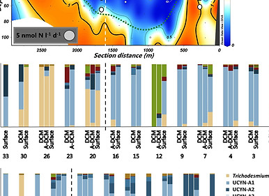 Hallstrom et al 2022.jpg