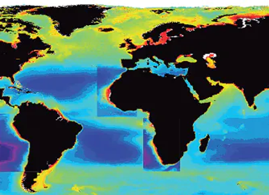 EBUS Conference New.webp