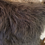 Thumbnail: Grey New Furry Pillow