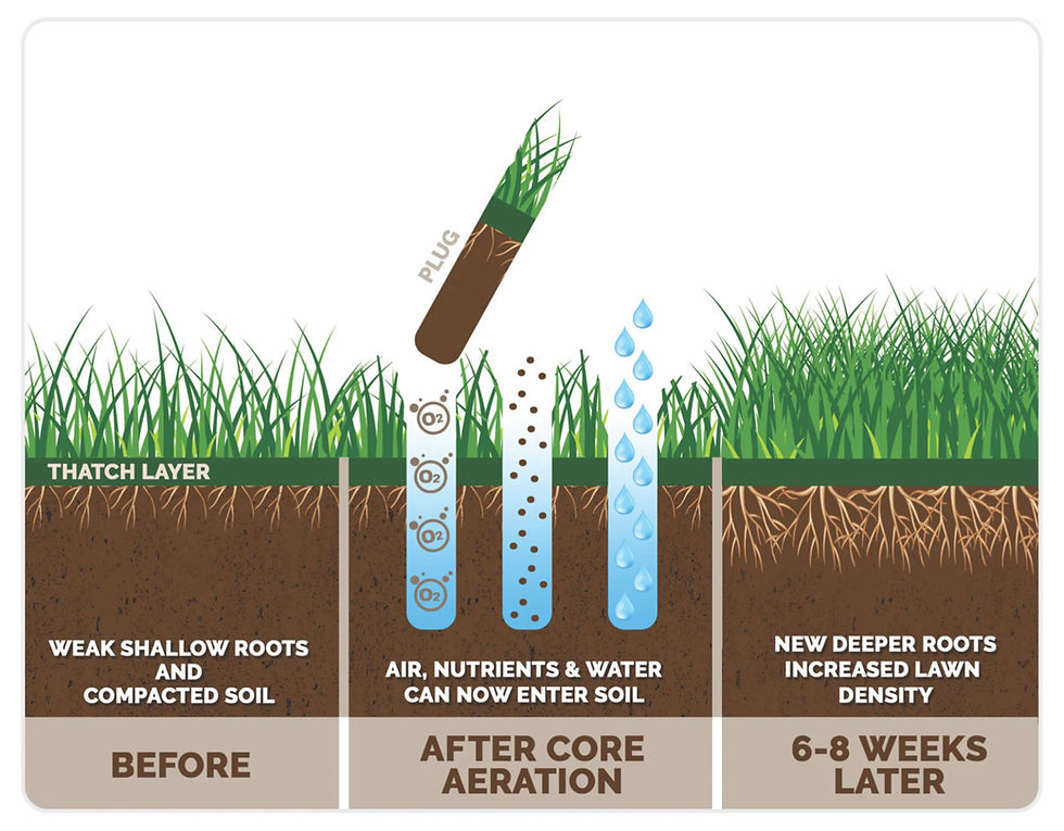 Aeration Benefits in the Fall