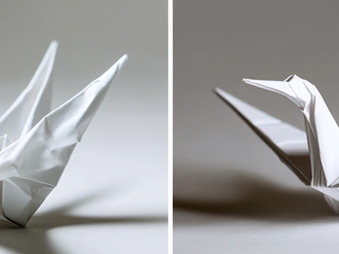 Why You Need a Professionally Written Resume vs. Doing It On Your Own