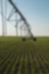 P1003444.JPG