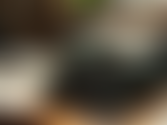 For Bridget, Family Epigrams pack meaning: Reflect with her in Virginia Writers Project journals