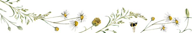 Untitled (Reddit Banner)_edited.png