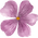 FLOWER 1.png