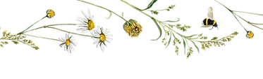 Untitled (Reddit Banner).png