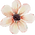 FLOWER 3.png