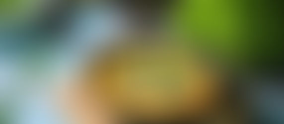 English Breakfast Frittata Recipe: Quick, Easy, and Delicious Breakfast Dish