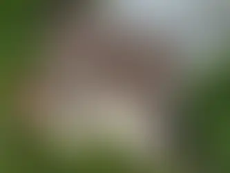 Fixed vs. Vented Skylights: Which Is Better for Union County, NJ Homes?