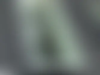 Do Skylights Leak? Or Is Poor Installation the Real Problem in Union County Homes