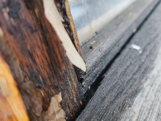 Signs It’s Time to Replace (Not Repair) Your Siding in Union County, NJ