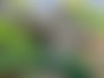 James Hardie vs. Vinyl Siding: What Actually Works Best for Union County, NJ Homes?