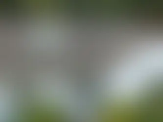 How Long Do Skylights Last in New Jersey? Signs It’s Time for Replacement