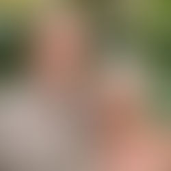 A Legacy That Continues