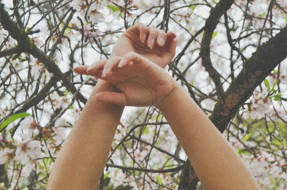 toxic: (parte i) relaciones anteriores