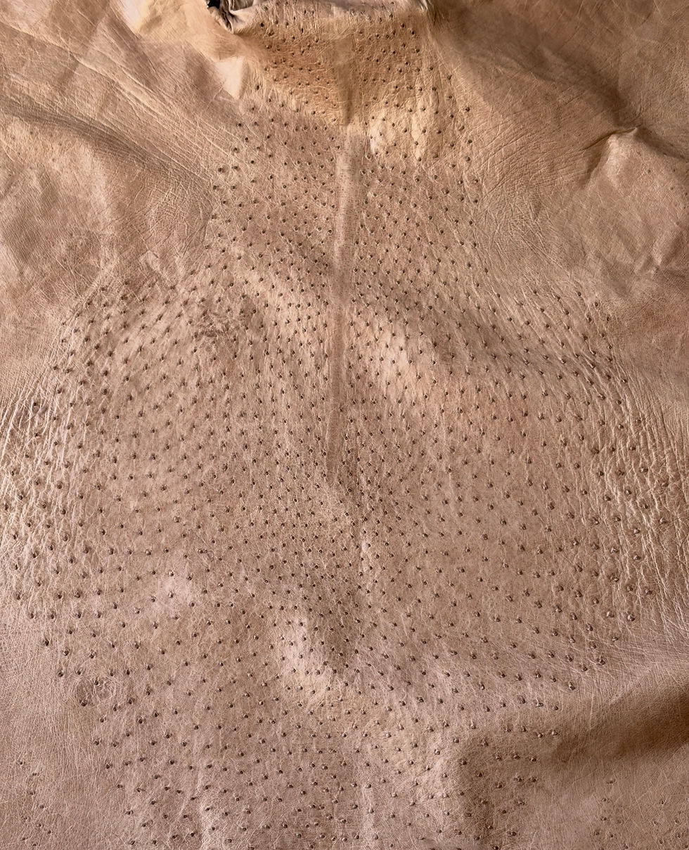 Thumbnail: Ostrich Leather skin Mink Color MD
