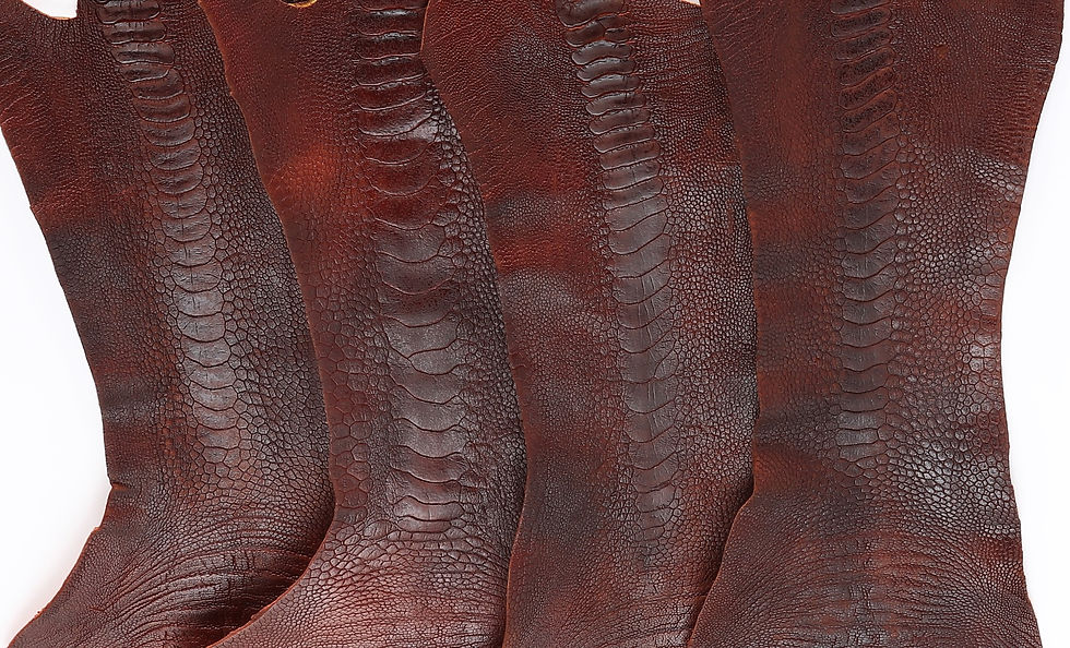 Ostrich Skin Legs Leather, Vintage Orange